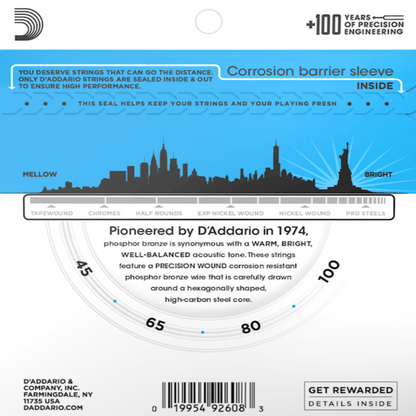 D'Addario EPBB170 Regular Light Long Scale Acoustic Bass Strings 45-100 Gauge