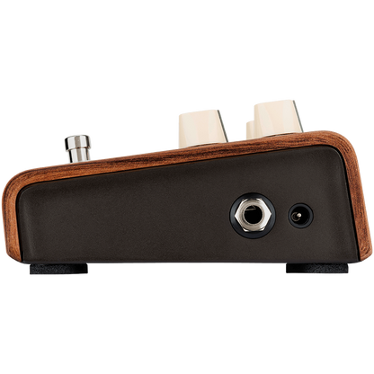 LR Baggs Align Reverb Acoustic Pedal