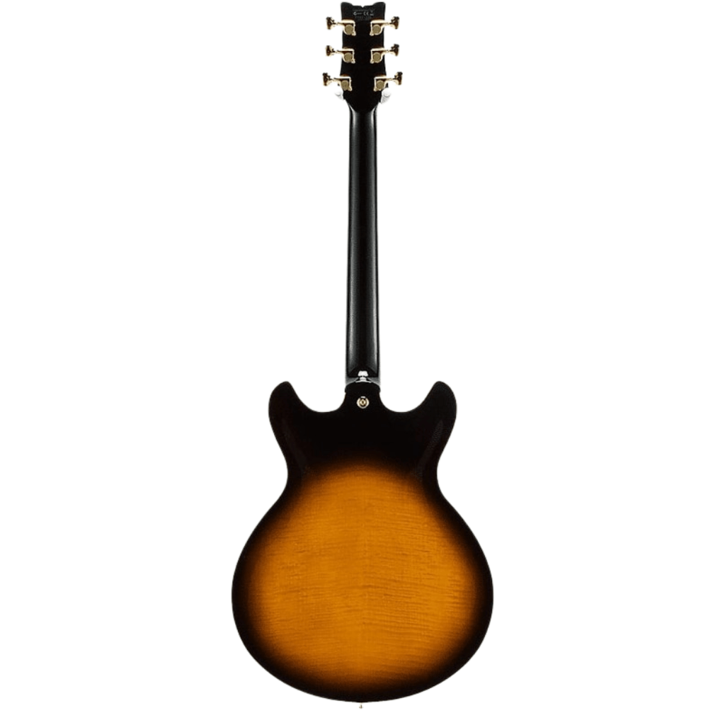 Ibanez JSM100 VT John Scofield Signature Guitar