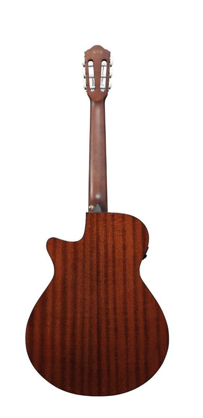 Ibanez AEG50N 01 Acoustic Guitar in Black High Gloss