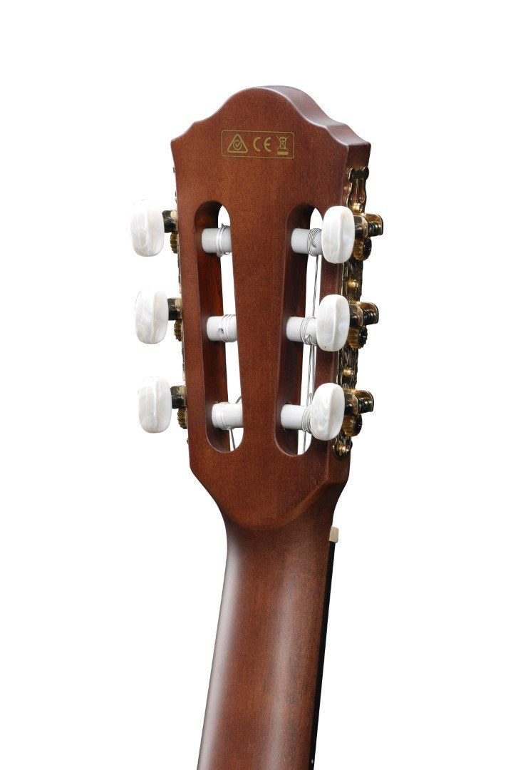 Ibanez AEG50N 01 Acoustic Guitar in Black High Gloss