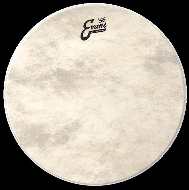 Evans 22" EQ4 Calftone Drumheads