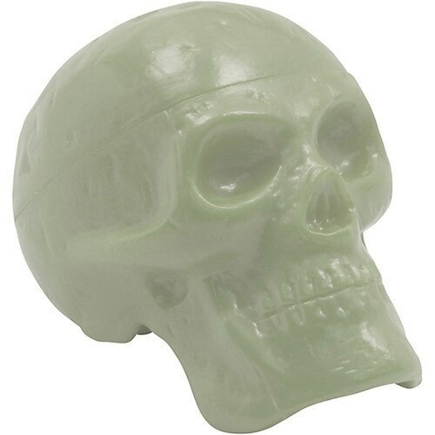 Beadbrain Skull Rhythm Glow in the Dark Shaker