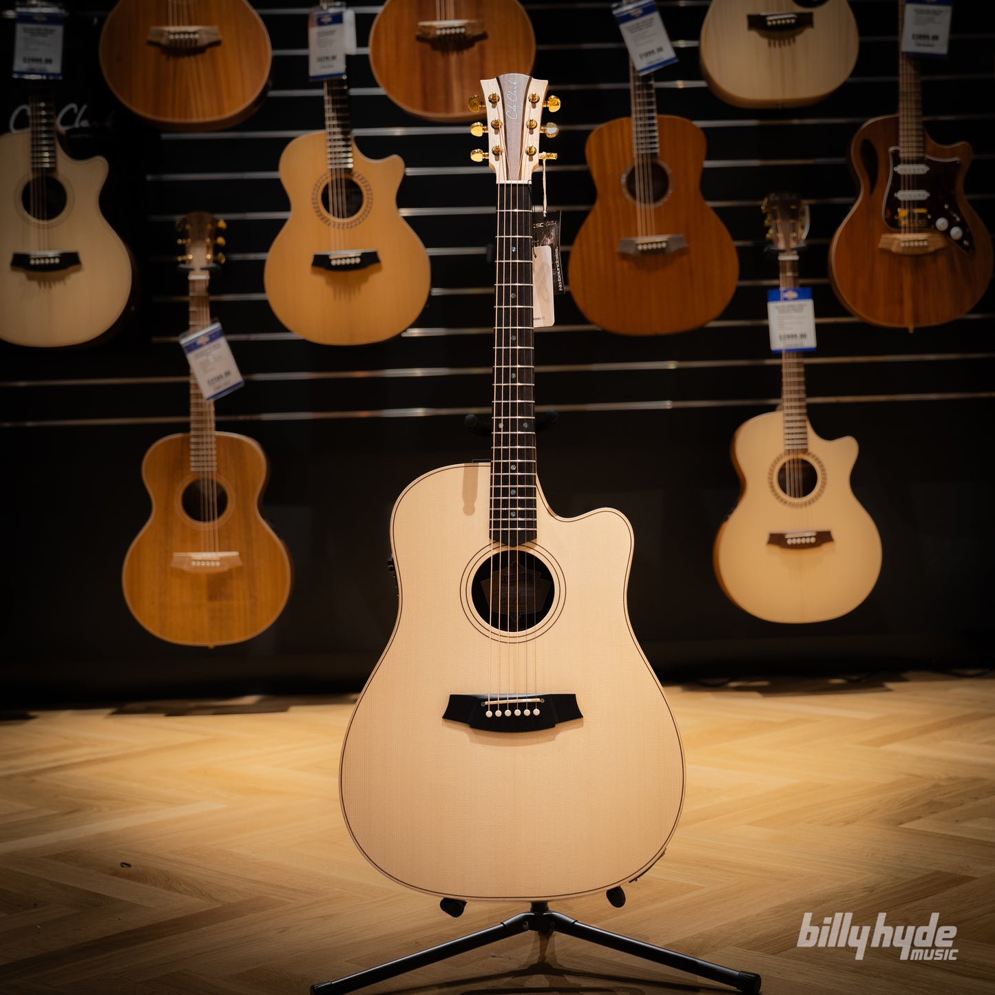 Cole Clark FL2EC-SRE FL Dreadnought Electric-Acoustic Guitar