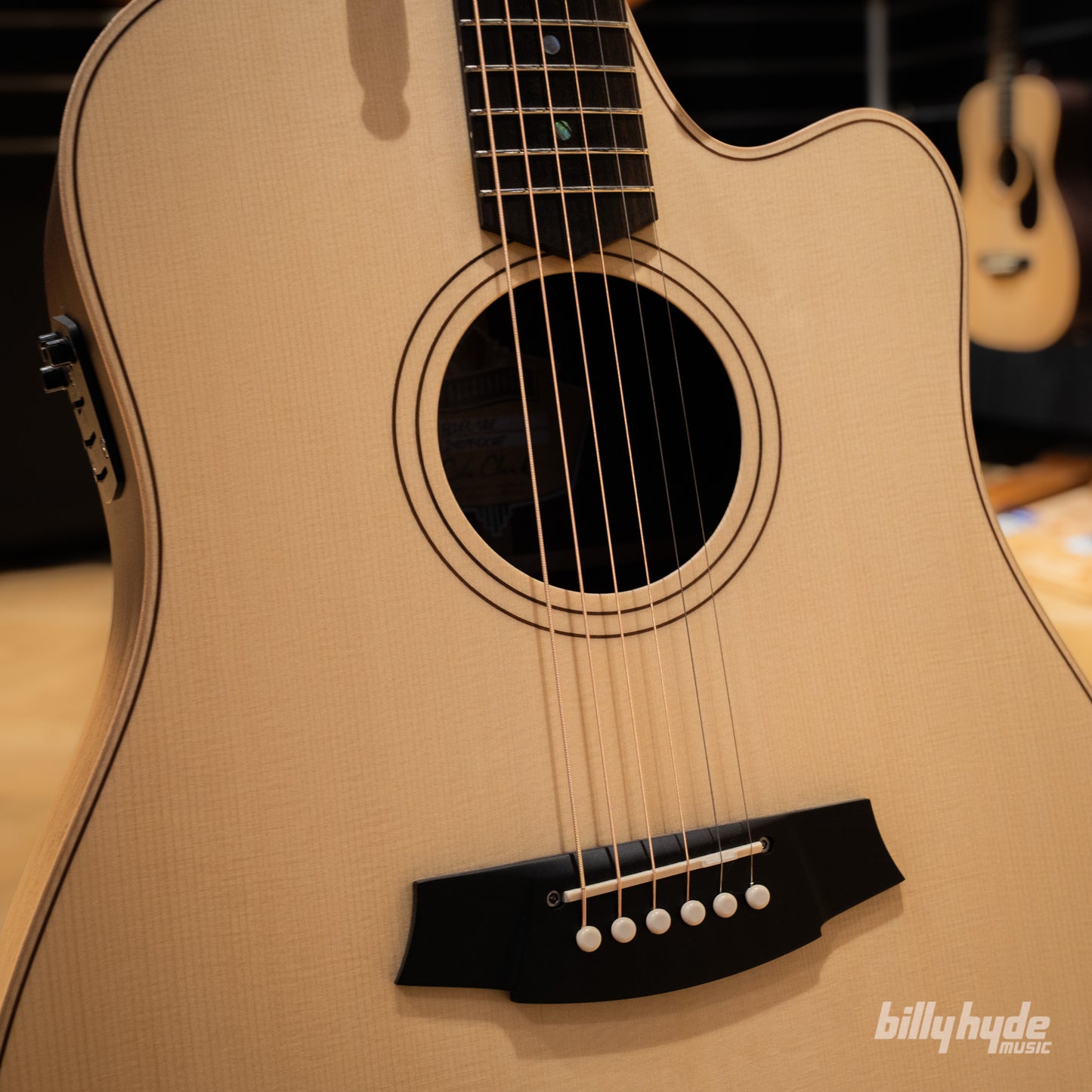 Cole Clark FL2EC-SRE FL Dreadnought Electric-Acoustic Guitar