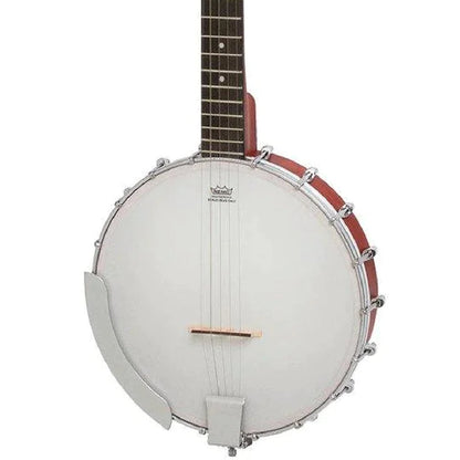 Epiphone MB100 5 String Banjo in Vintage Satin Brown