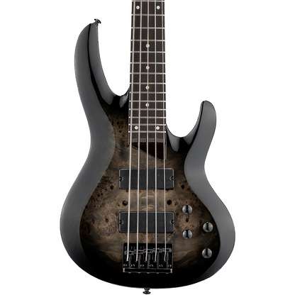 ESP LTD B 205 DX 5-String Electric Bass Guitar in Black Burst