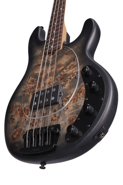 Sterling By Music Man Stingray 4 Poplar Burl Top in Trans Satin Black