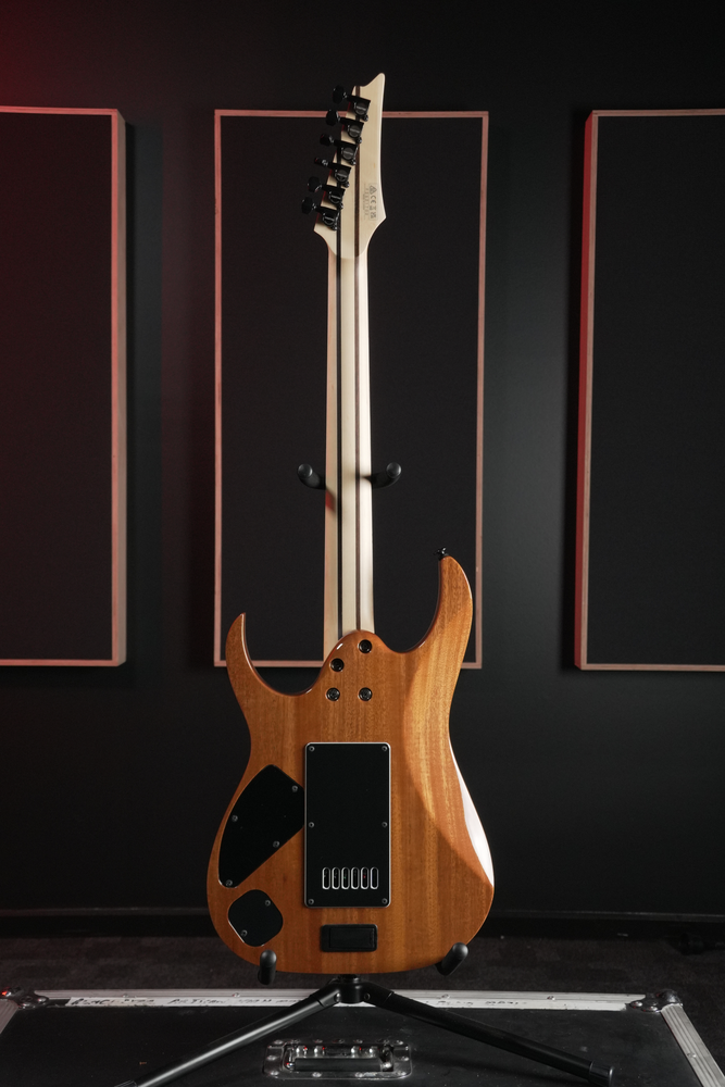 Ibanez RGR5121ET Prestige Australian Exclusive Electric Guitar in Black