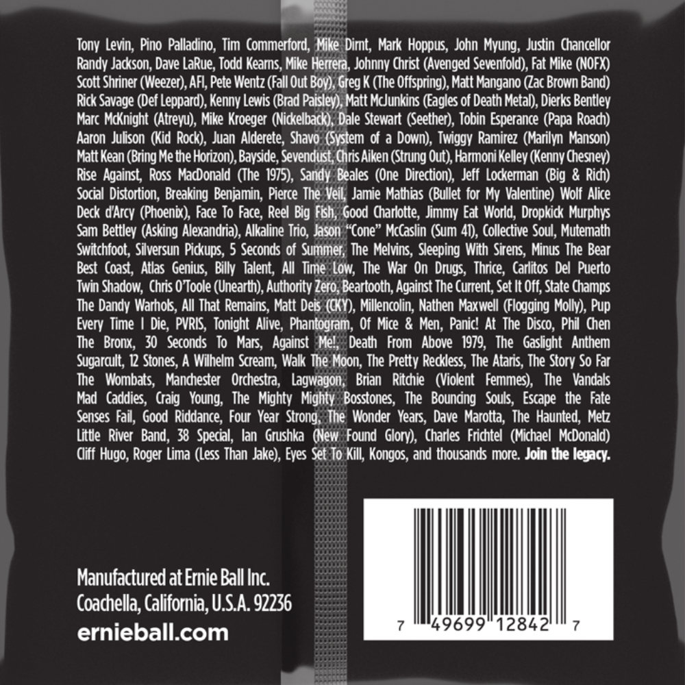 Ernie Ball 2842 Regular Slinky Stainless Steel Electric Bass Strings, 50-105 Gauge