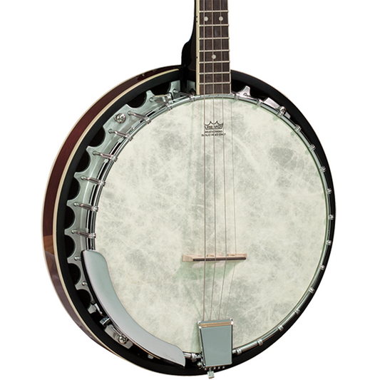 Barnes & Mullins BJ304GT Perfect 4-String Gaelic Tenor Banjo