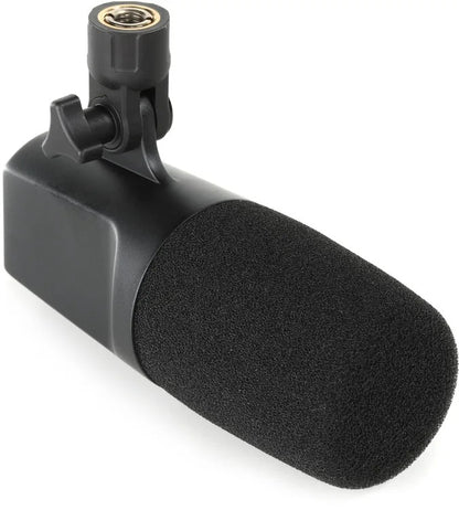 sE Electronics DynaCaster DCM3 Cardioid Dynamic Studio Microphone