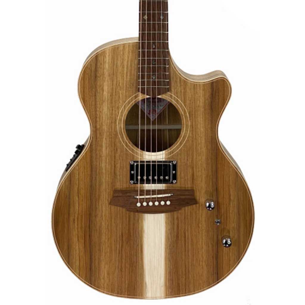 Cole Clark TL2EC-BLBL-HUM Acoustic Electric Guitar