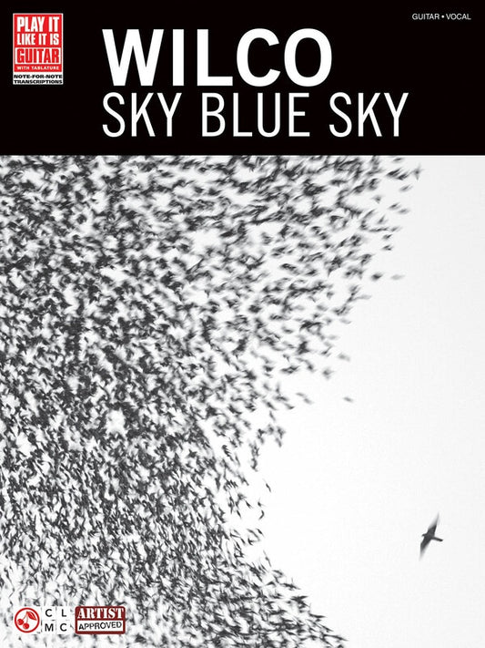 Wilco Sky Blue Sky Guitar Tab Pili