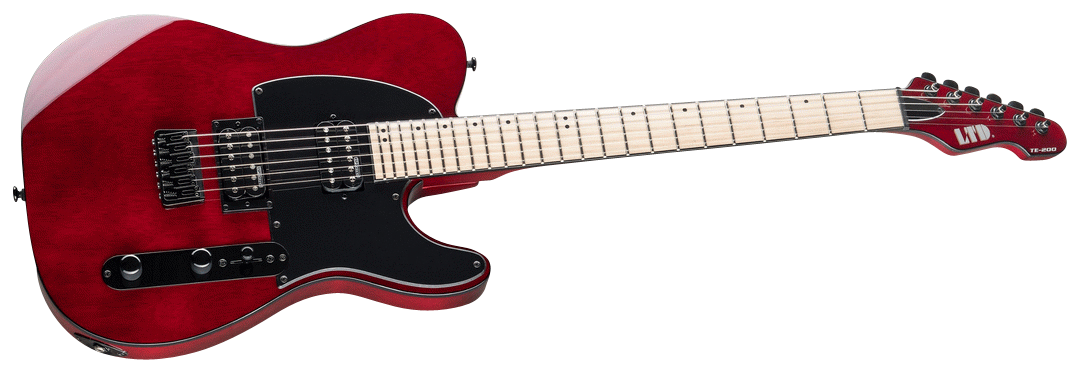 ESP LTD TE200 Electric Guitar in See Thru Black Cherry