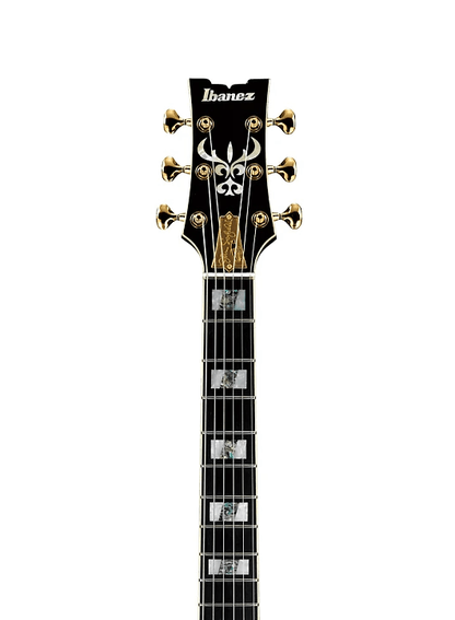 Ibanez JSM100 VT John Scofield Signature Guitar