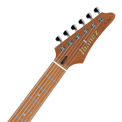 Ibanez TQM1 Tom Quayle Signature Electric Guitar in Natural