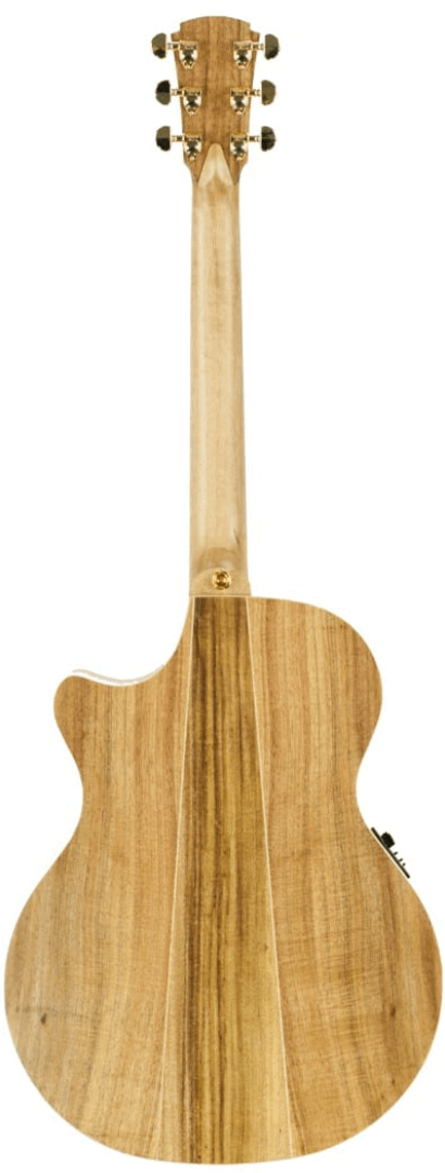 Cole Clark CCAN2EC BLBL  Blackwood Acoustic Electric Guitar