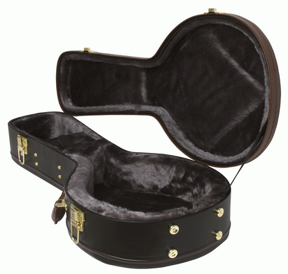 Epiphone A Style Mandolin Hard Case