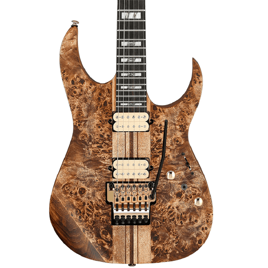 Ibanez RGT1220PB Premium Electric Guitar in Antique Brown Stained Flat