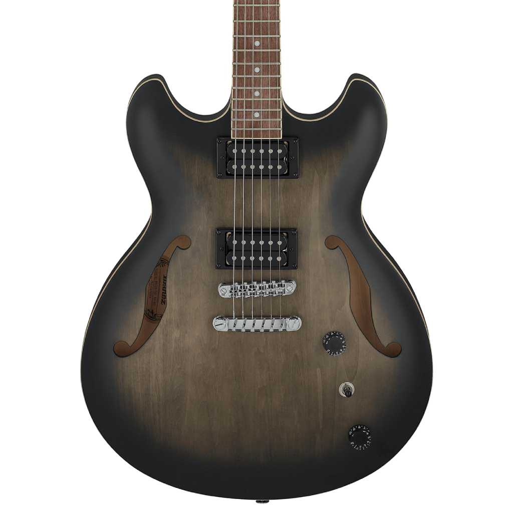 Ibanez AS53 in Transparent Black Flat