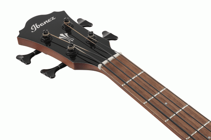Ibanez AEGB24E Acoustic Bass in Black High Gloss