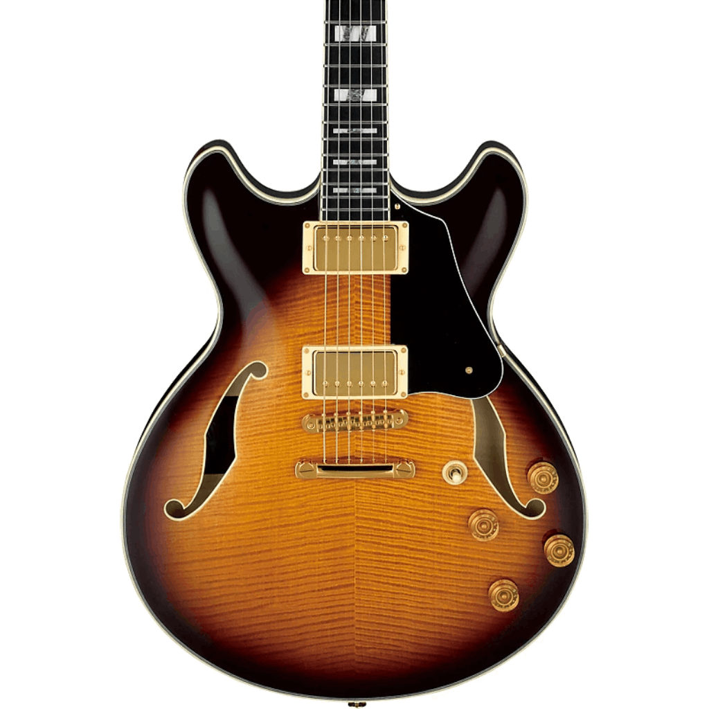 Ibanez JSM100 VT John Scofield Signature Guitar