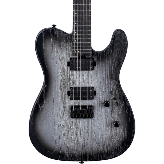 ESP LTD Deluxe TE-1000 Electric Guitar in Silver Blast