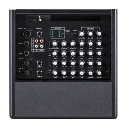 Prodipe Natural 6 1x6.5" 140W Acoustic Amp