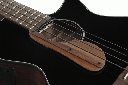 Ibanez AEGB24E Acoustic Bass in Black High Gloss