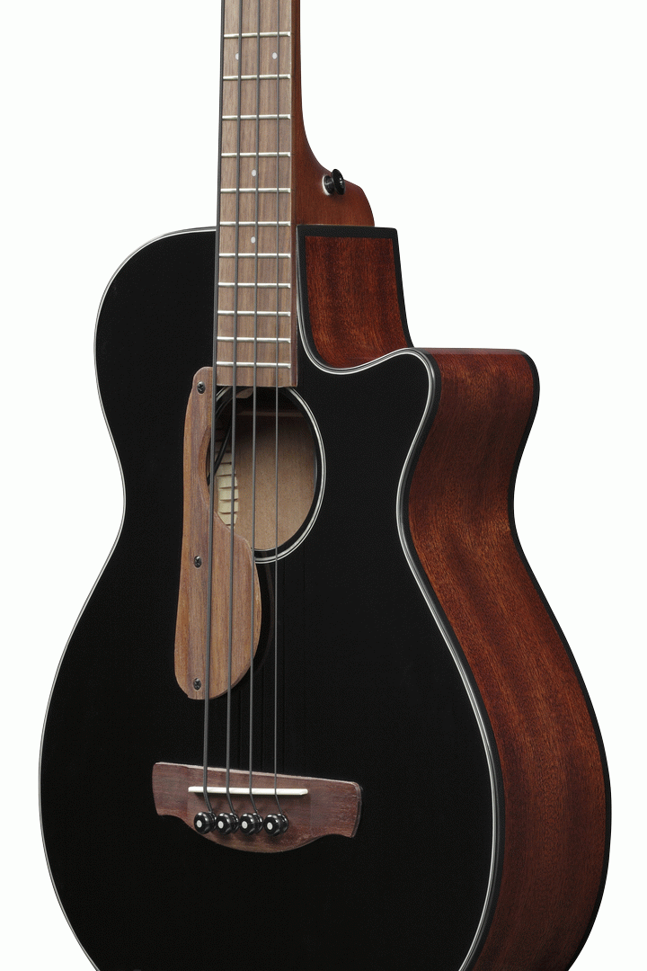 Ibanez AEGB24E Acoustic Bass in Black High Gloss