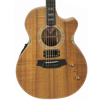 Cole Clark CTL3EC-BLBL-HUM True Hybrid Thinline in Acoustic Electric Guitar in Natural