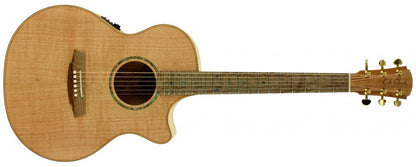 Cole Clark 2 Series AN Grand Auditorium in Silky Oak