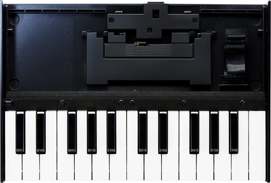 Roland Boutique K 25m Keyboard Unit
