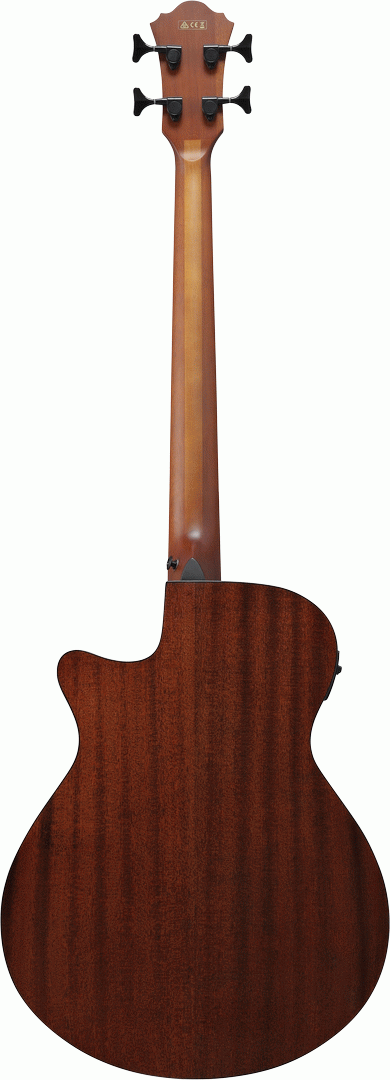 Ibanez AEGB24E Acoustic Bass in Black High Gloss