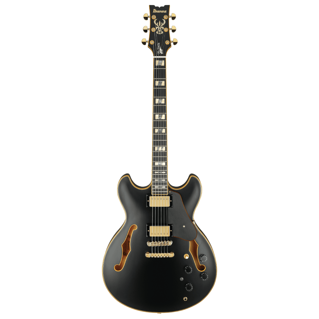 Ibanez JSM20 John Scofield Signature Hollowbody in Black Low Gloss