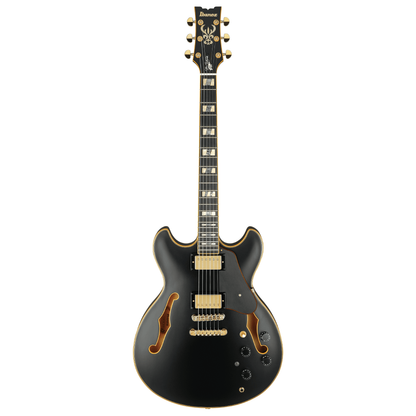 Ibanez JSM20 John Scofield Signature Hollowbody in Black Low Gloss