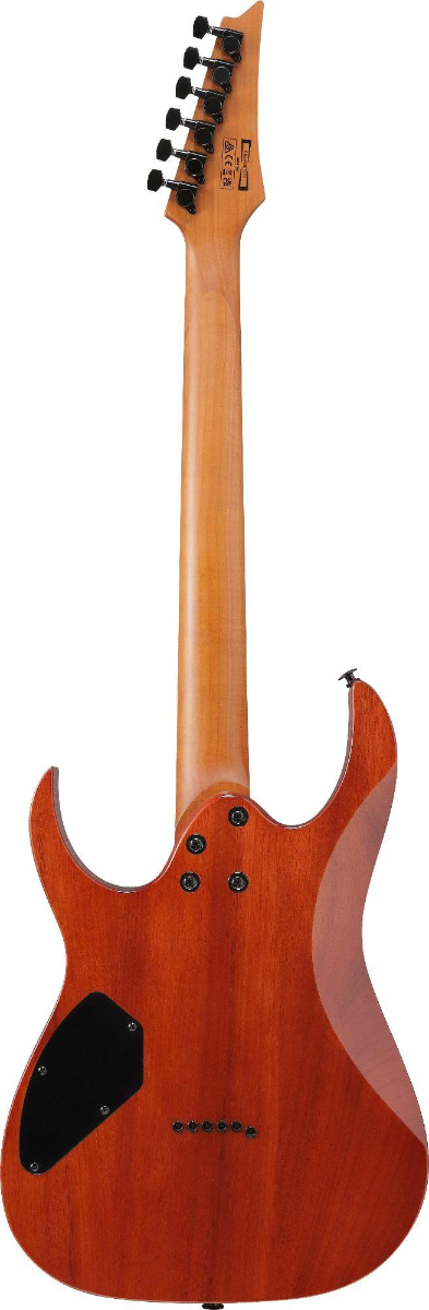 Ibanez GRGR221FA Electric Guitar in Transparent Indigo Black