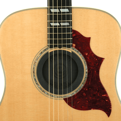 D'Addario Planet Waves Screeching Halt Acoustic Soundhole Cover