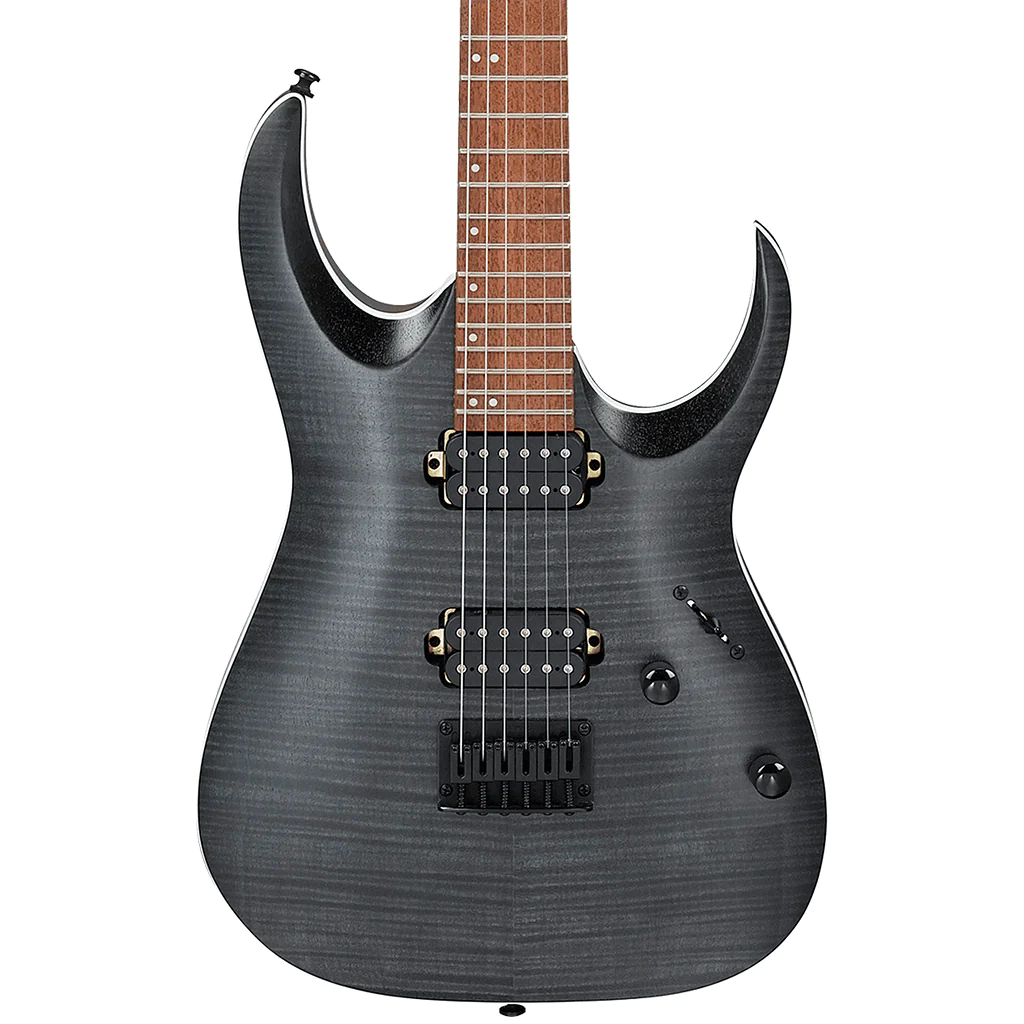 Ibanez RGA42FM Electric Guitar in Transparent Gray Flat