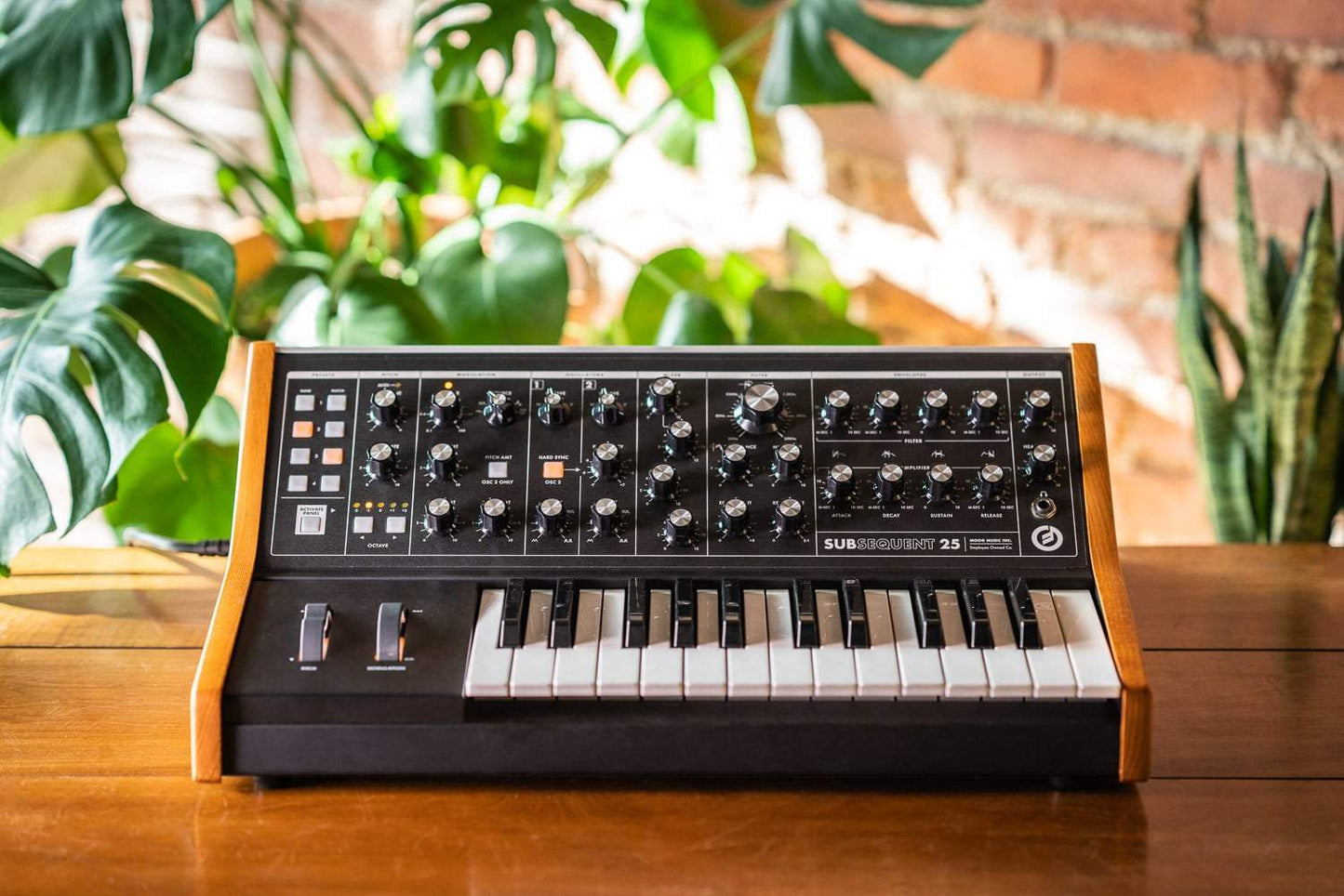 Moog Subsequent 25 Analog Synthesizer | EX-DEMO