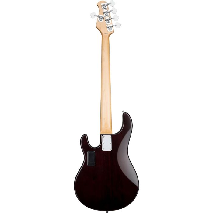 Stingray ray5 on sale
