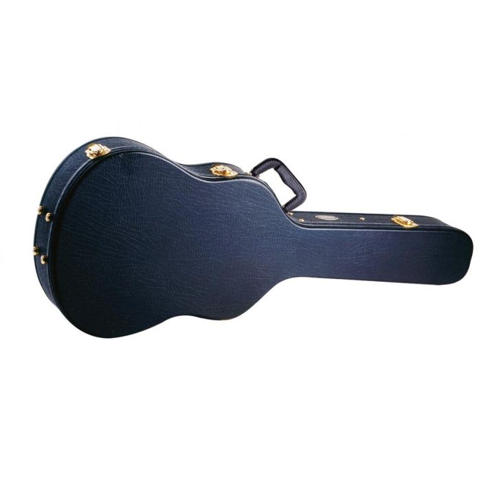 Armour deals guitar case