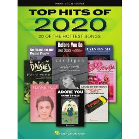 Top Hits Of 2020 PVG