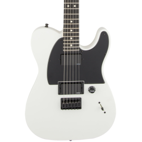 Fender Jim Root Telecaster in Flat White