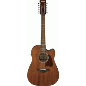 Ibanez AW5412CE Artwood 12-String Acoustic Electric Guitar in Open Pore Natural