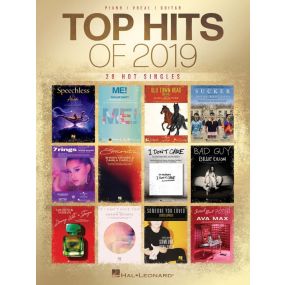 Top Hits Of 2019 PVG