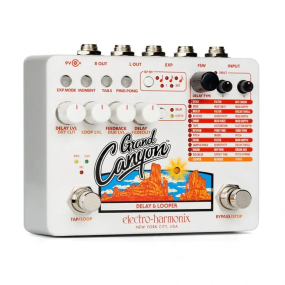 Electro Harmonix Grand Canyon Delay/Looper