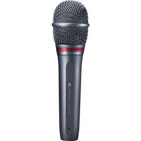 Audio Technica AE6100 Hypercardioid Dynamic Handheld Microphone