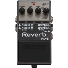 Boss RV6 Digital Reverb Pedal